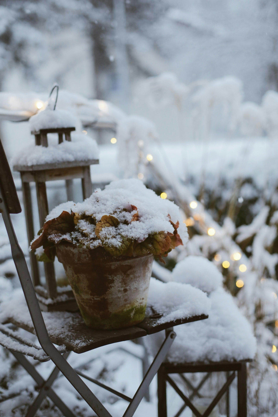 What makes a cosy coastal winter? - Hygge SHORES