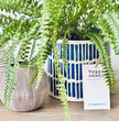 Coastal Pot Planter