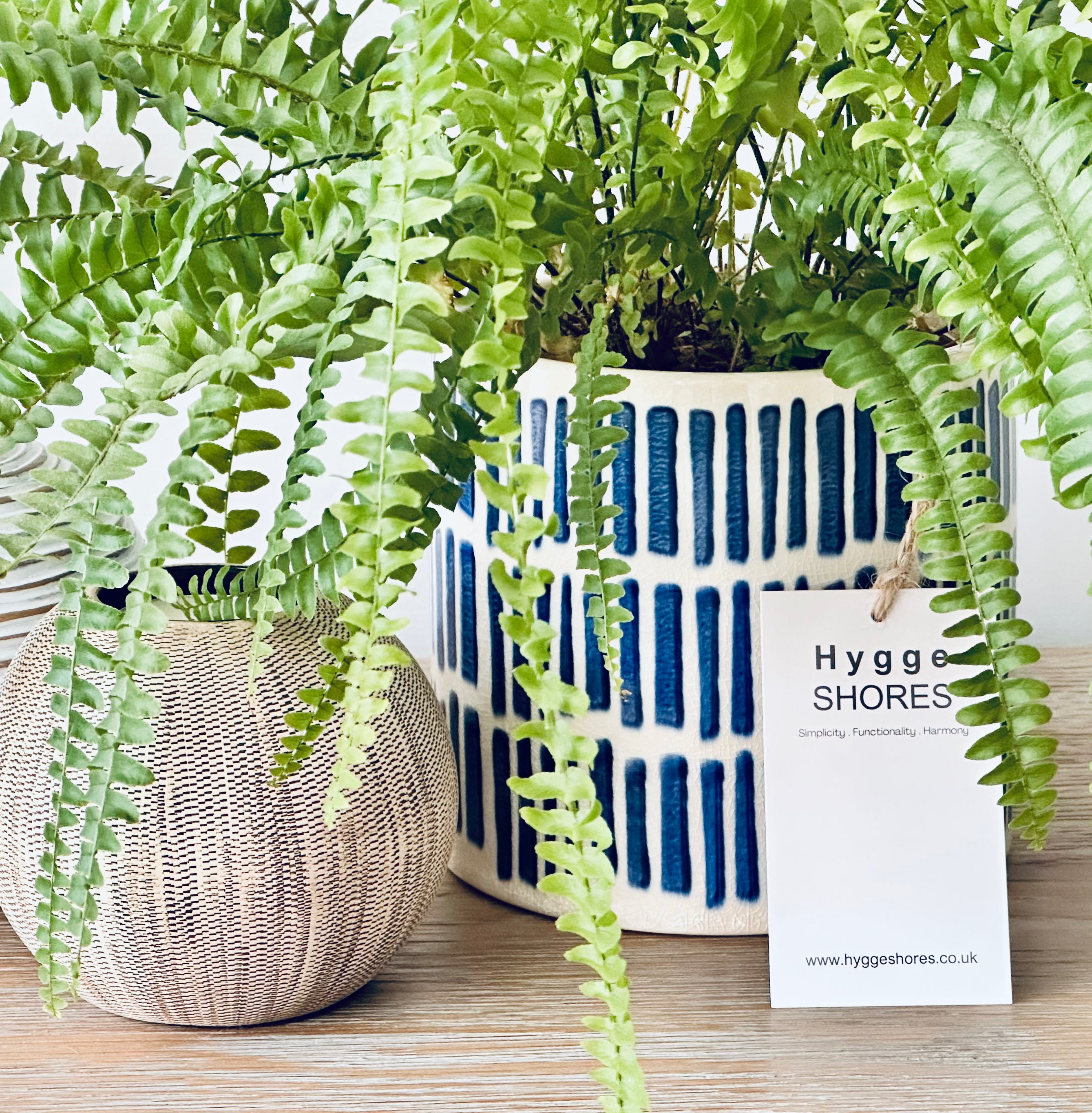 Coastal Pot Planter