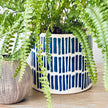 Coastal Pot Planter