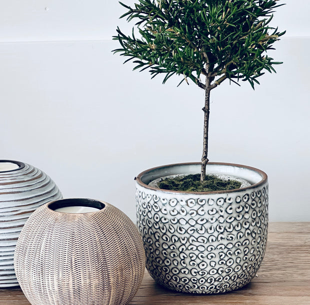 Flower Pot Planter