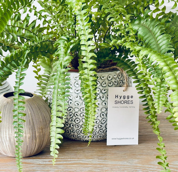 Flower Pot Planter