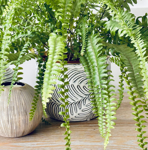 Leaf Pot Planter