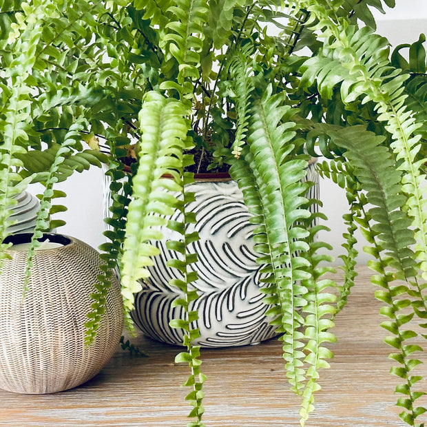 Leaf Pot Planter
