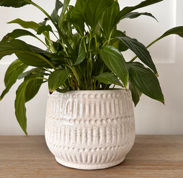 Natural Debossed Planter - Hygge SHORES