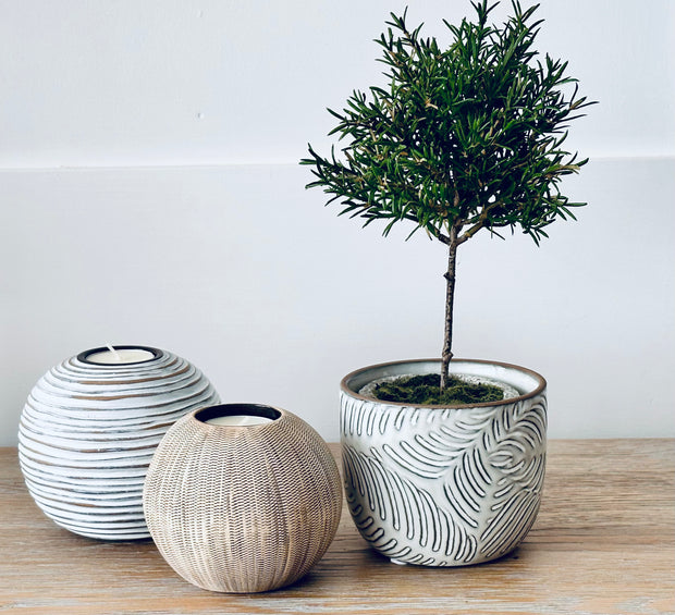Natural Pot Planter