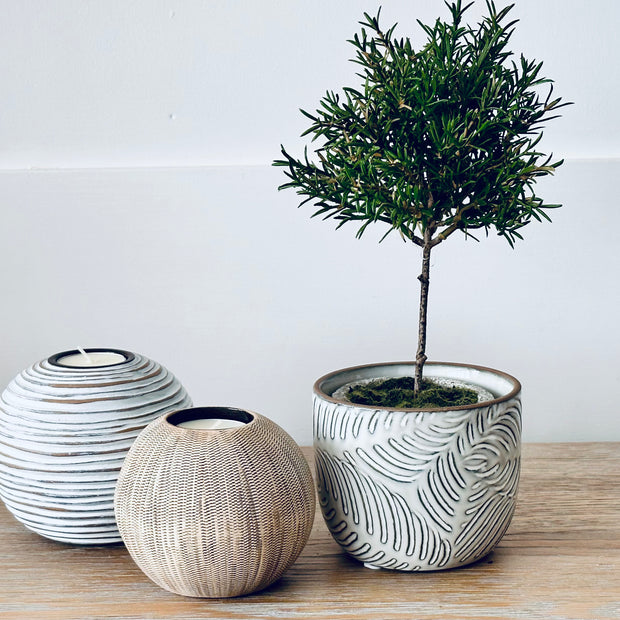 Natural Pot Planter